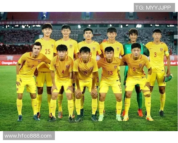 青海球星足球队完整阵容及球员详细资料一览